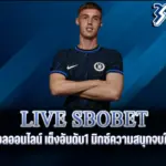 live sbobet