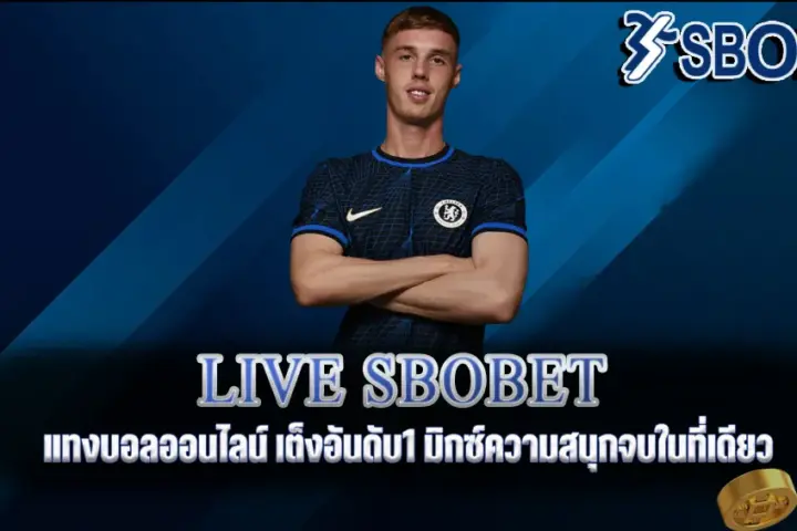 live sbobet