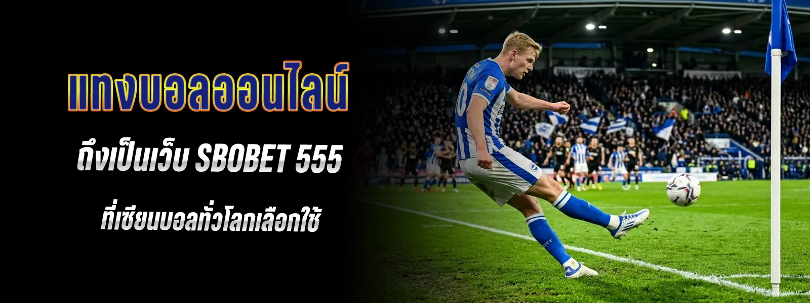 เทคนิค แทงบอล